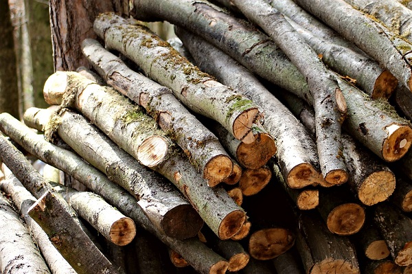 Cùng tìm hiểu về quy định phân loại nhóm gỗ tại Việt Nam