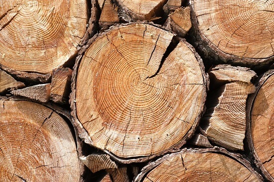 Gỗ phay là gỗ gì ?